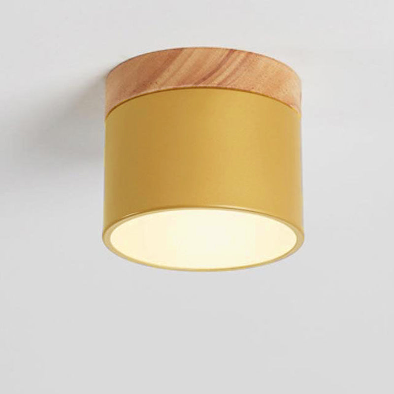 Modern LED Ceiling Lamp Adjustable Color