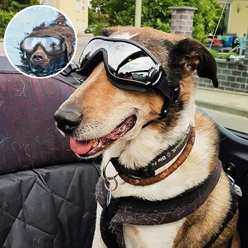 Dog Sunglasses Outdoor Pet Eye Protection
