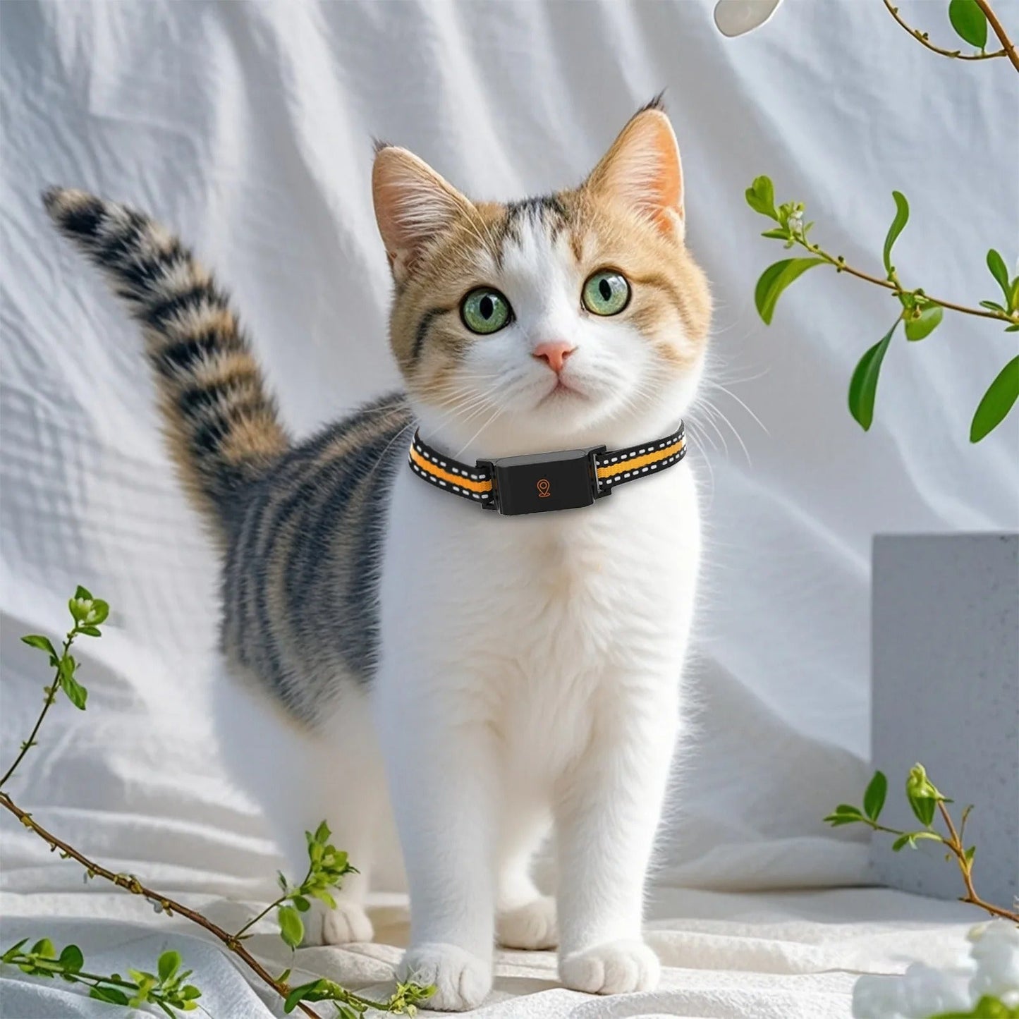 Pet GPS Tracker Collar - Real Time Location Finder