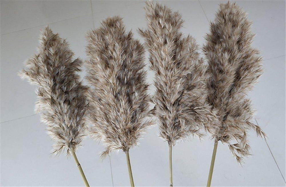 Natural Dried Pampas Grass Boho Decor Bouquet