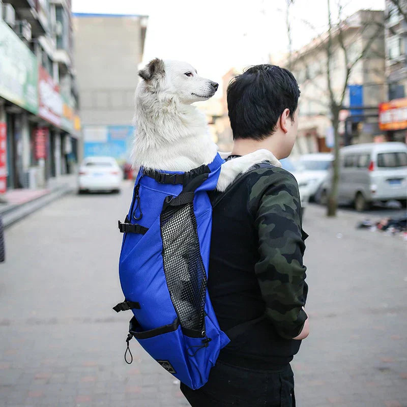 Pet Hiking Backpack - Durable Dog Carrier with Pockets