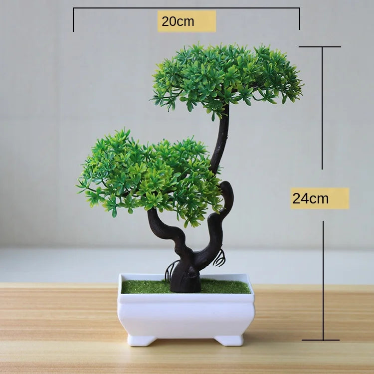 Mini Indoor Bonsai Tree Planter