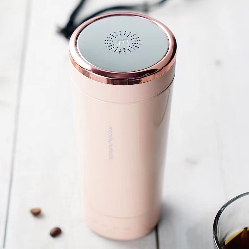 Compact Travel Electric Stainless Kettle