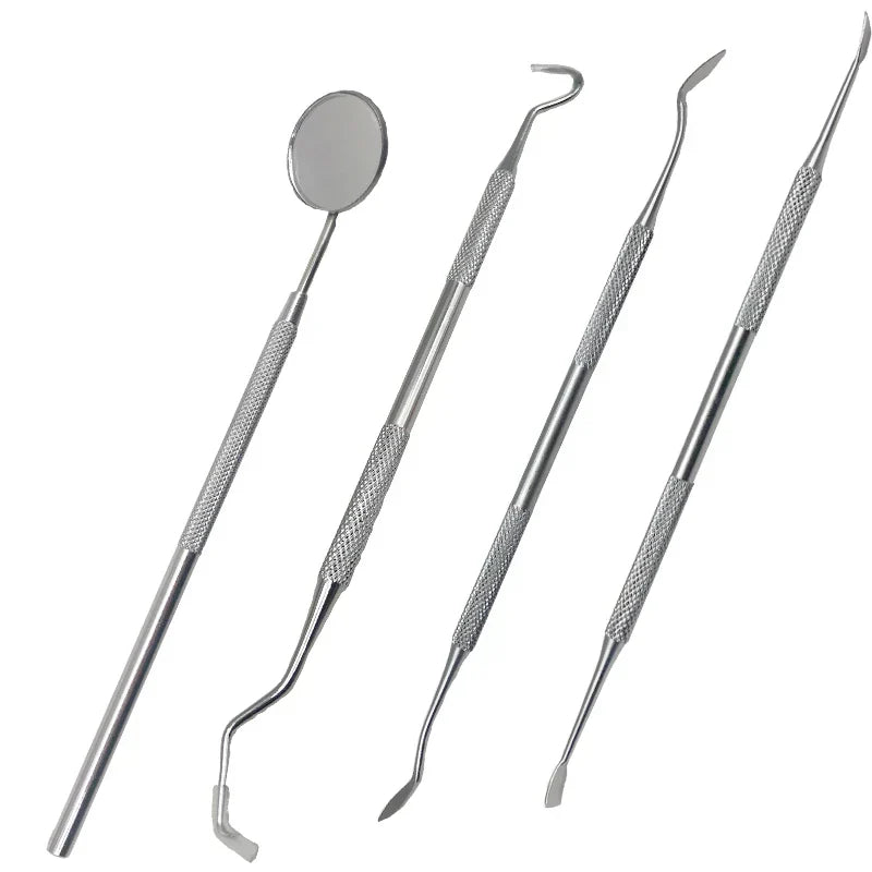 Dental Care | Stainless Steel Plaque Remover Kit