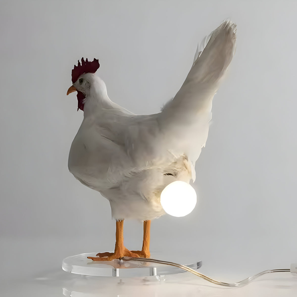Colorful Chicken LED Nightlight