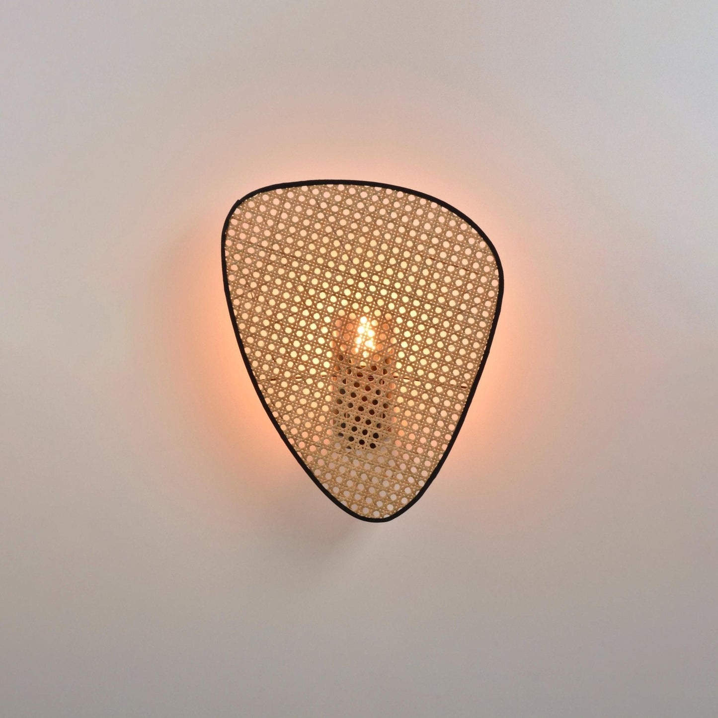 Wall Mount Adjustable Sconce Light Fixture