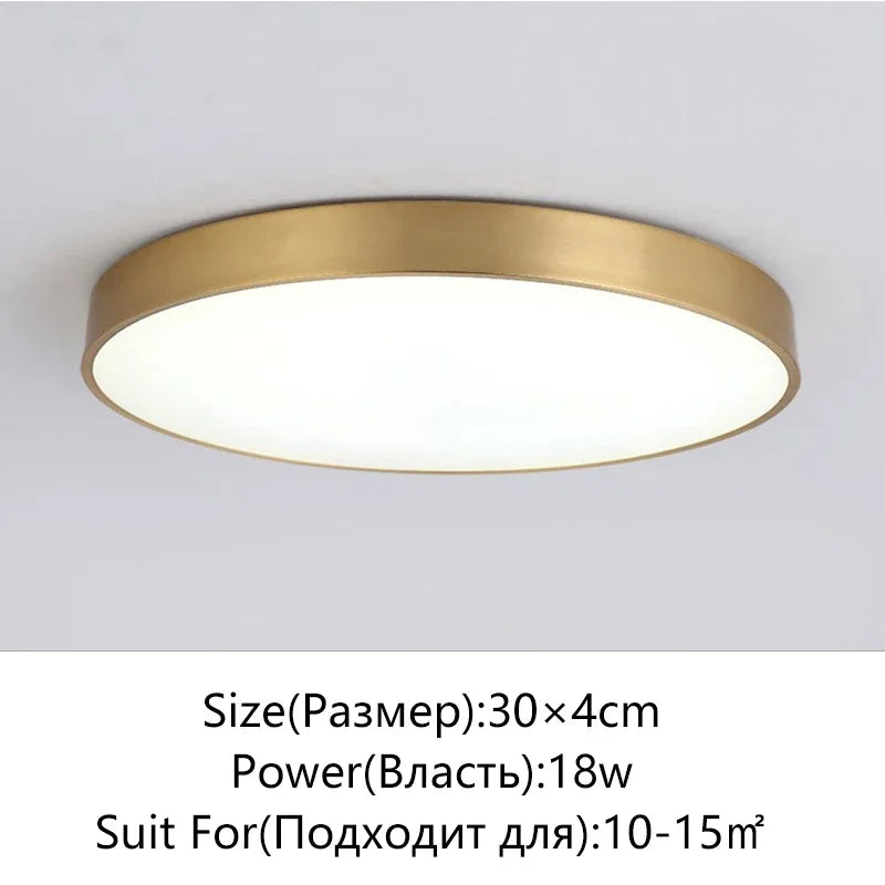 Stylish LED Hall Ceiling Lamp - Elegant Gold Round