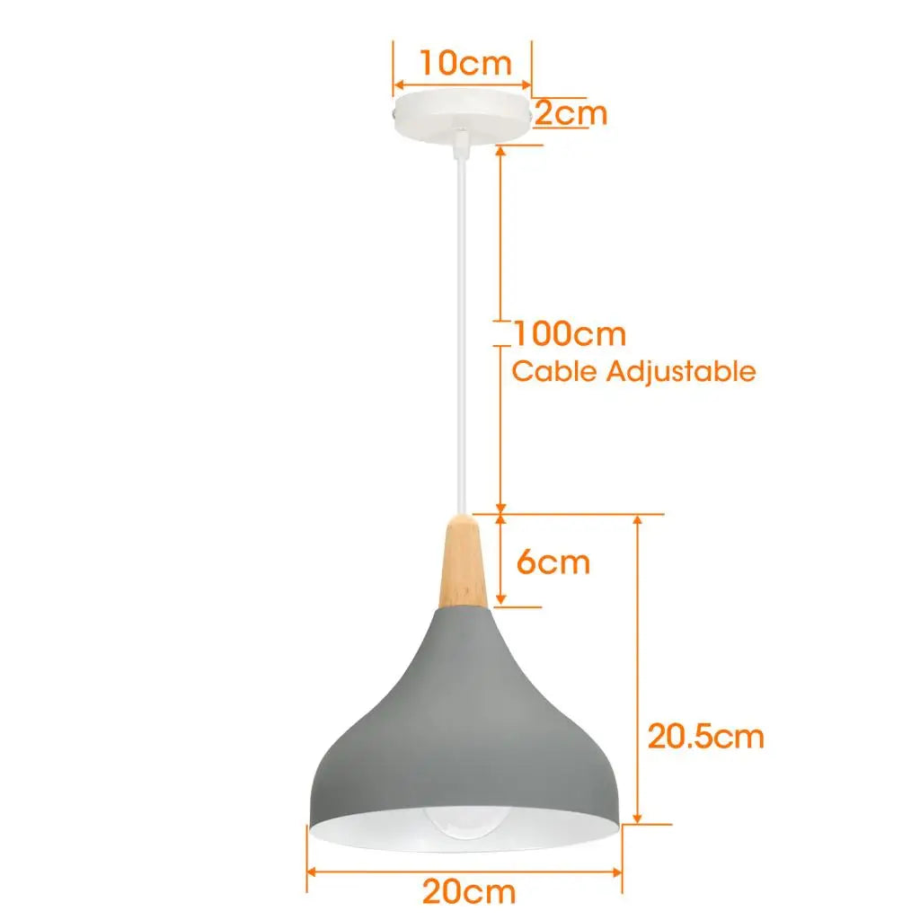 Vintage Metal Drop Ceiling Light