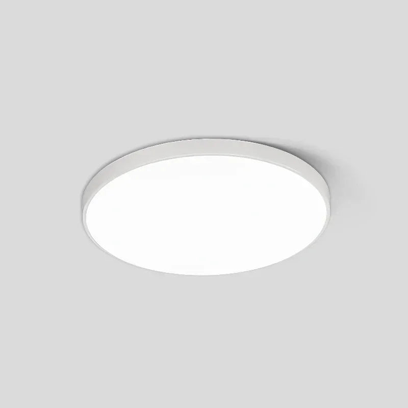 Modern Round LED Light Fixture