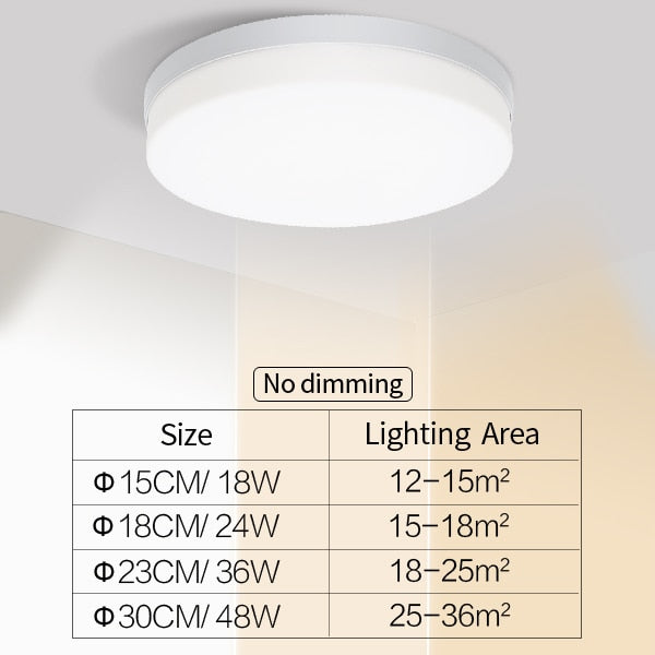 Elegant Home Modern LED Ceiling Lamp