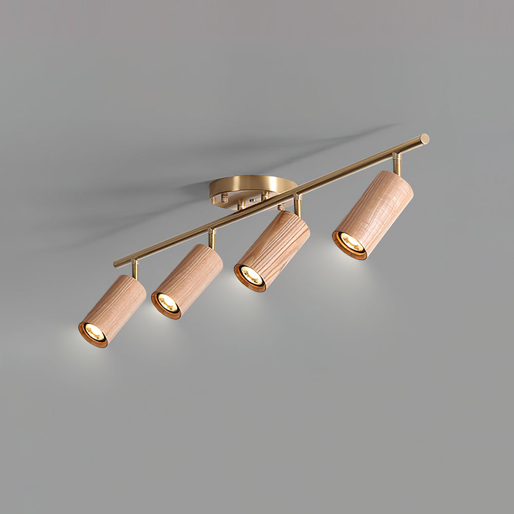 Modern Adjustable Gold Ceiling Light Fixture
