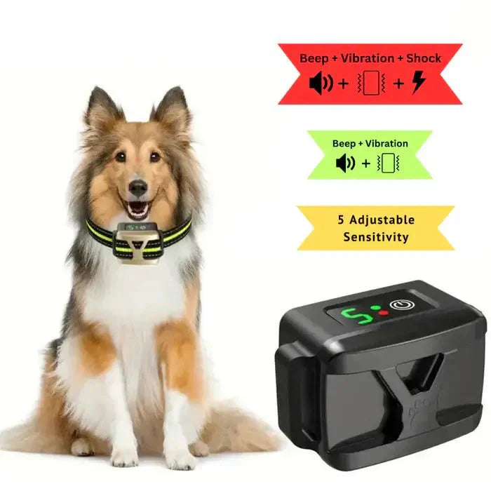 Effective No Bark Training Collar