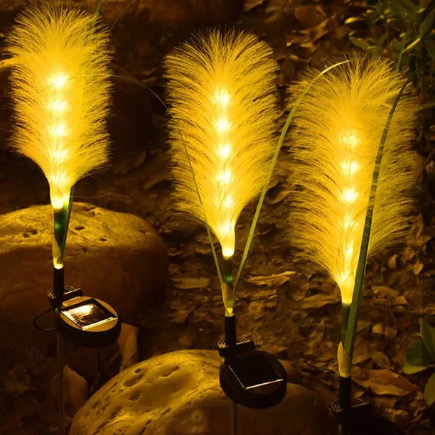 Outdoor Solar LED Pathway Light