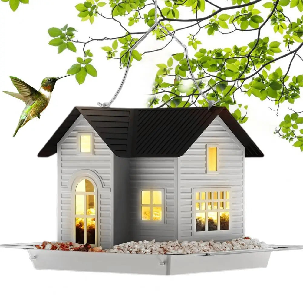 Colorful Bird Seed Feeder
