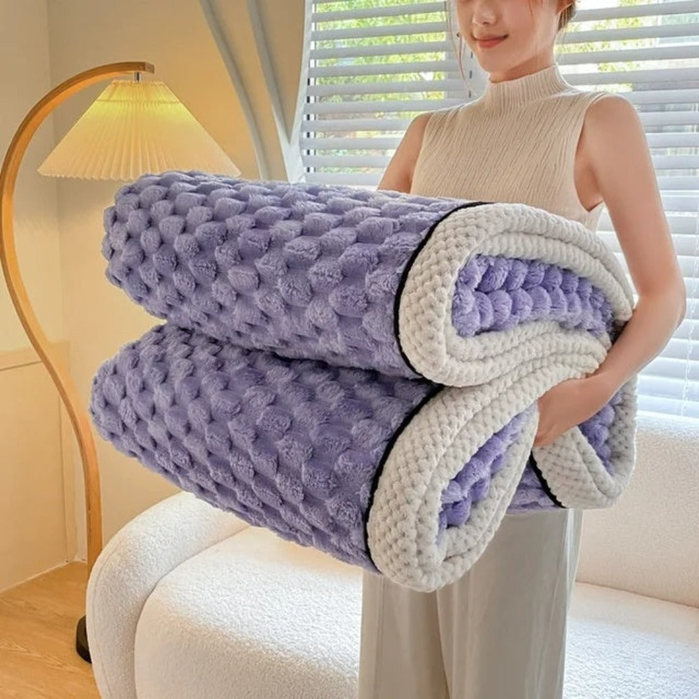 Cozy Faux Fur Warm Throw Blanket