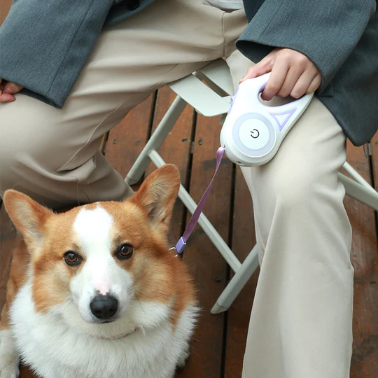 Bright LED Adjustable Dog Lead with Flashlight