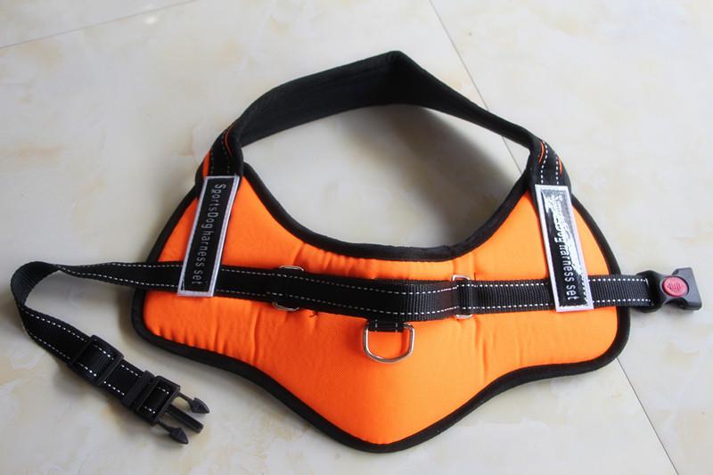 Comfortable Pet Walking Vest