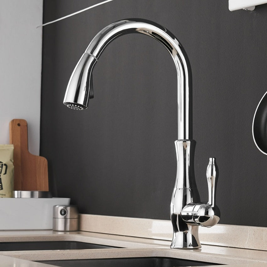 Contemporary Pull-Out Kitchen Faucet - 360° Spin Stainless Steel