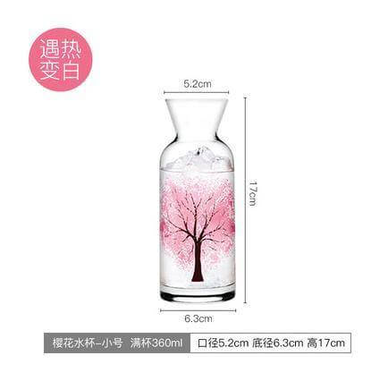 Clear Insulated Refreshing Water Bottle