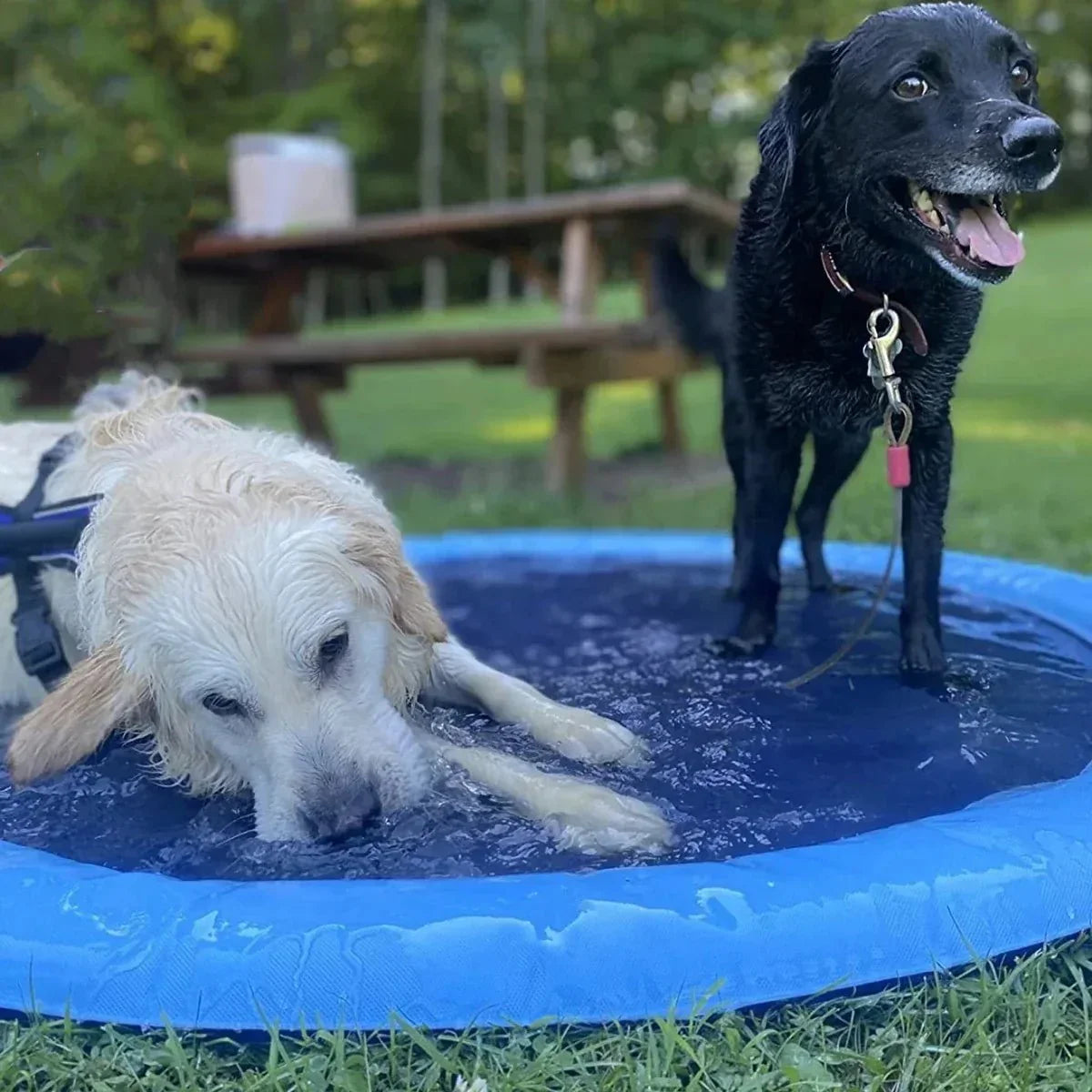 Fun Kids Water Play Mat