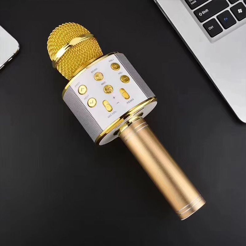 Portable Wireless Karaoke Microphone