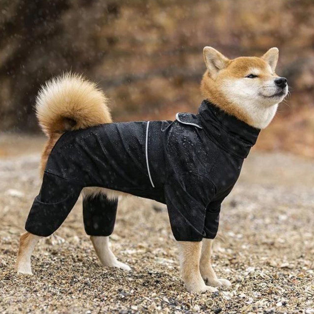 Waterproof Dog Rain Jacket