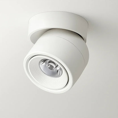 Bright LED Ceiling Spot Light Fixture
