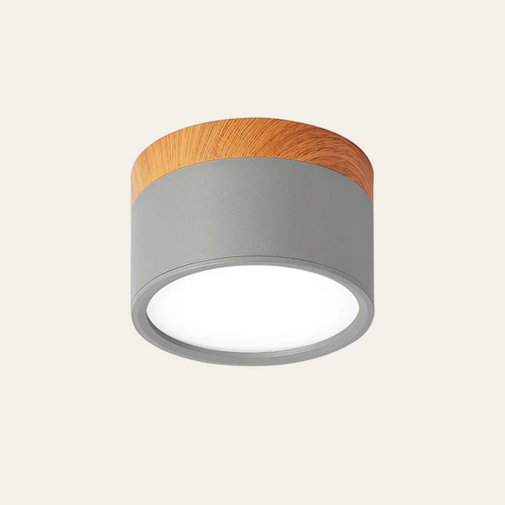 Slim LED Ceiling Fixture Modern Cylinder Light