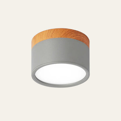 Slim LED Ceiling Fixture Modern Cylinder Light