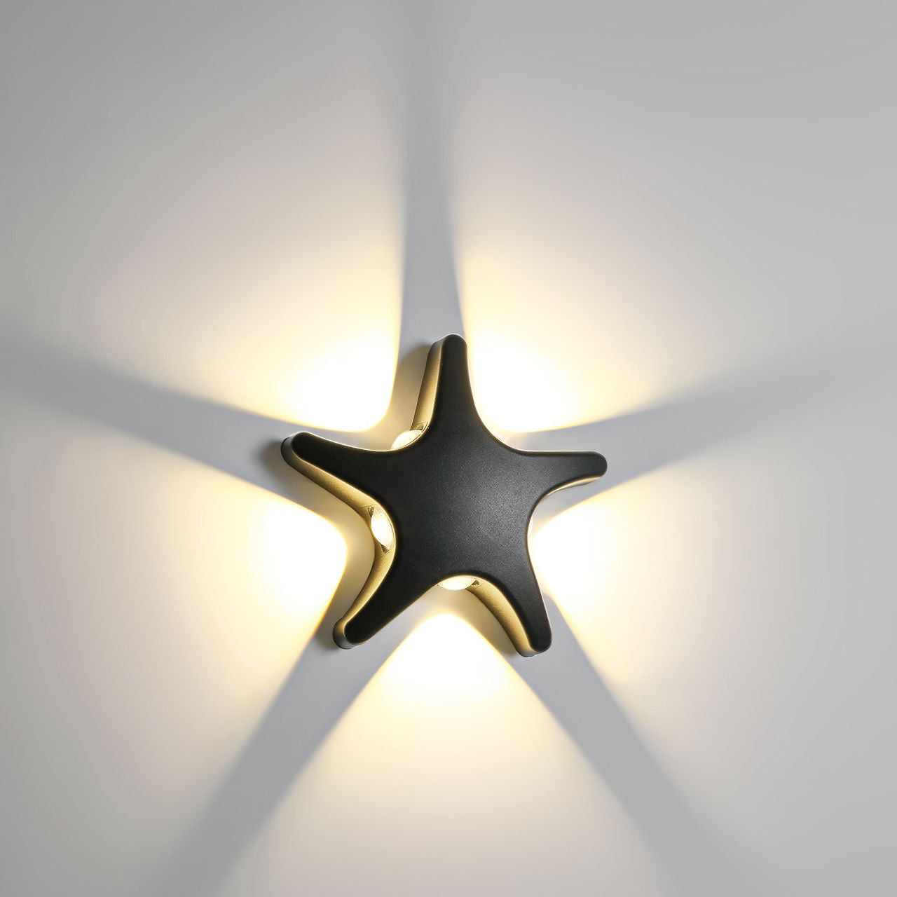 Modern Coastal Starfish LED Outdoor Wall Lamp