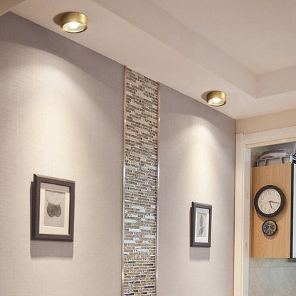 Compact LED Ceiling Lamp Copper Finish
