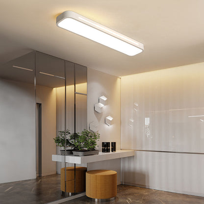 Bright LED Hallway Light Fixture