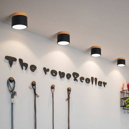 Modern LED Ceiling Lamp Adjustable Color