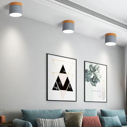 Modern LED Ceiling Lamp Adjustable Color