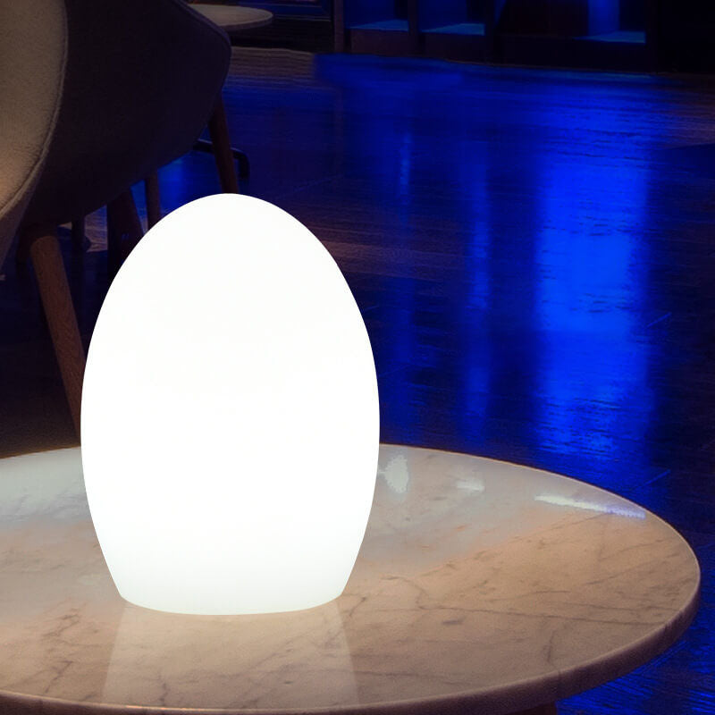 Colorful Plastic Oval LED Desk Lamp