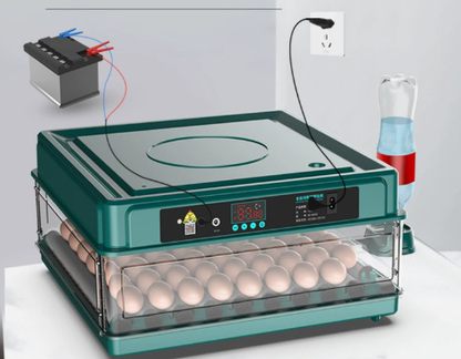 Automatic Egg Incubator with Adjustable Temperature Tray