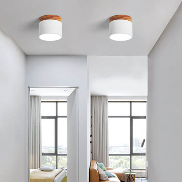 Modern LED Ceiling Lamp Adjustable Color