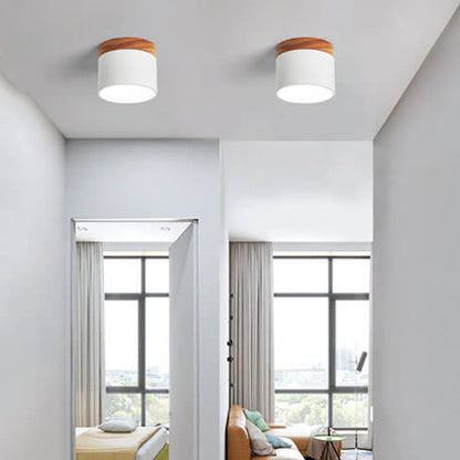 Modern LED Ceiling Lamp Adjustable Color