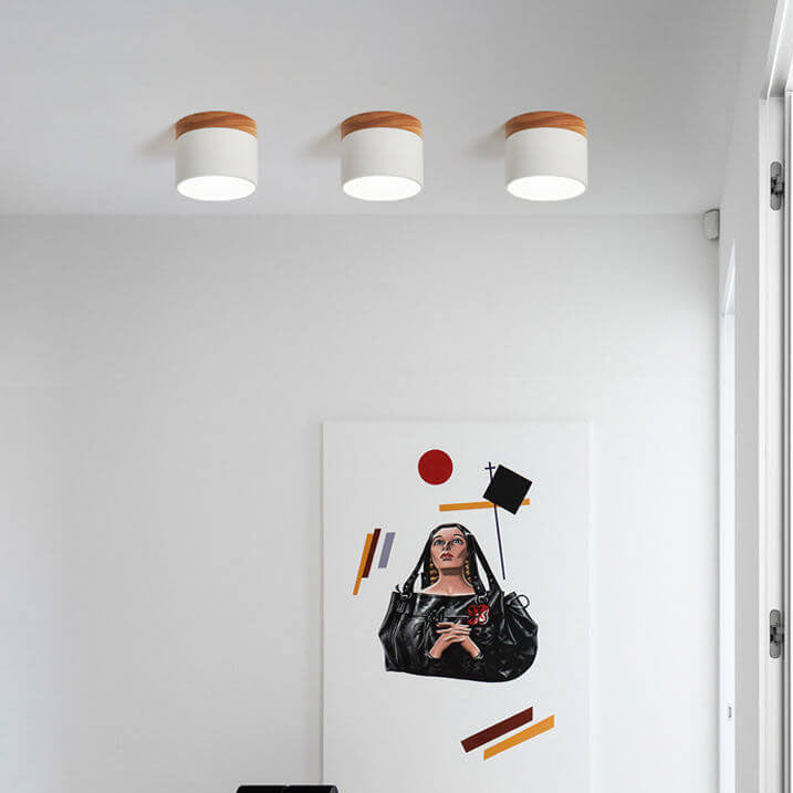 Modern LED Ceiling Lamp Adjustable Color