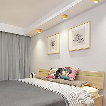 Slim LED Ceiling Fixture Modern Cylinder Light