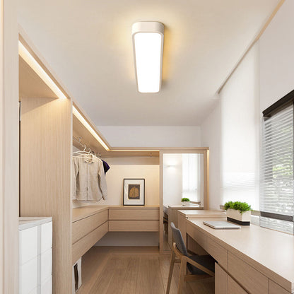 Bright LED Hallway Light Fixture