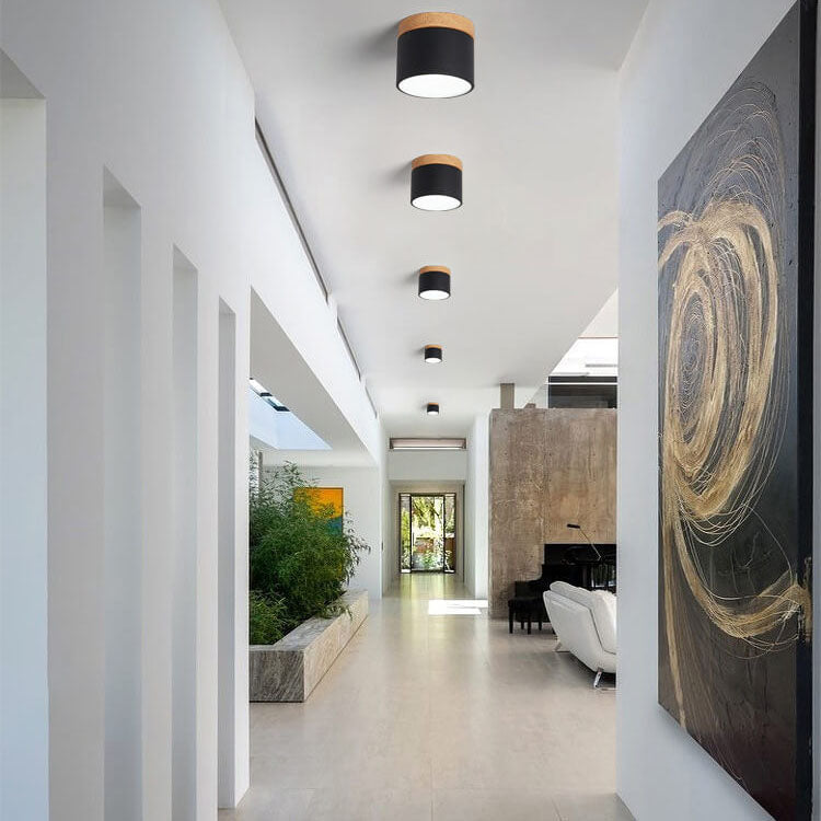 Modern LED Ceiling Lamp Adjustable Color