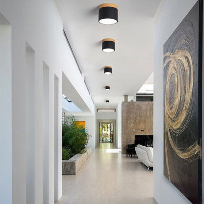 Modern LED Ceiling Lamp Adjustable Color