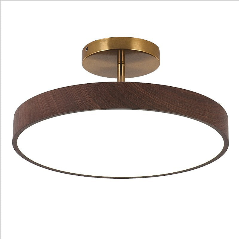 Compact LED Ceiling Light Fixtures for Home