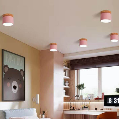 Modern LED Ceiling Lamp Adjustable Color