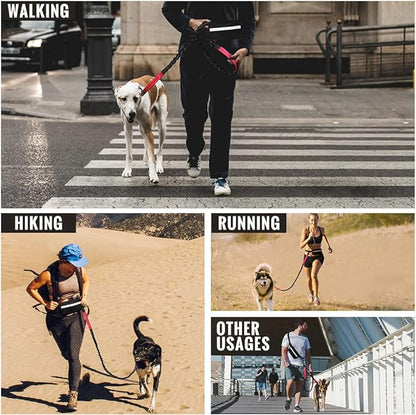 Easy Walk Hands-Free Dog Leash