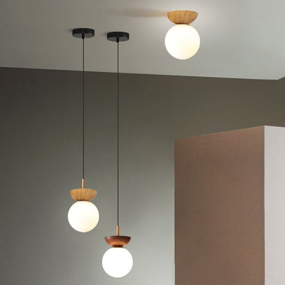 Elegant Glass Metal Pendant Lamp Fixture