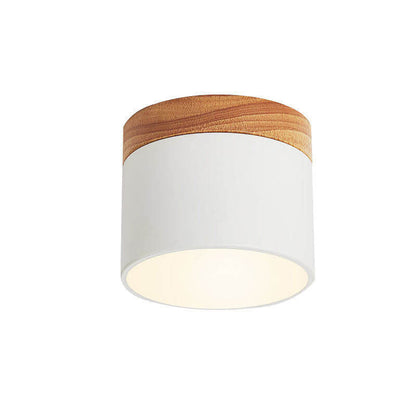 Modern LED Ceiling Lamp Adjustable Color
