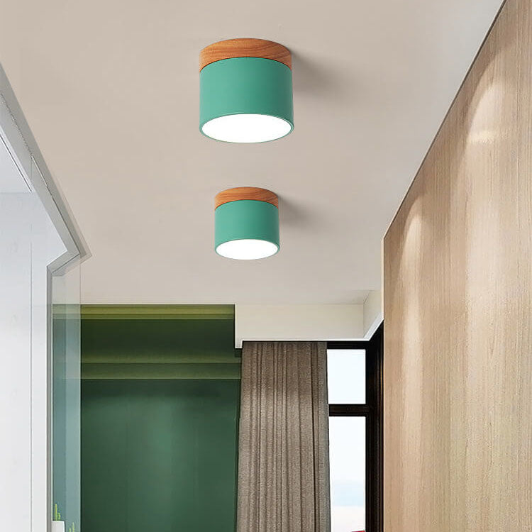 Modern LED Ceiling Lamp Adjustable Color