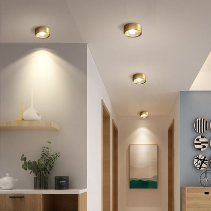 Compact LED Ceiling Lamp Copper Finish